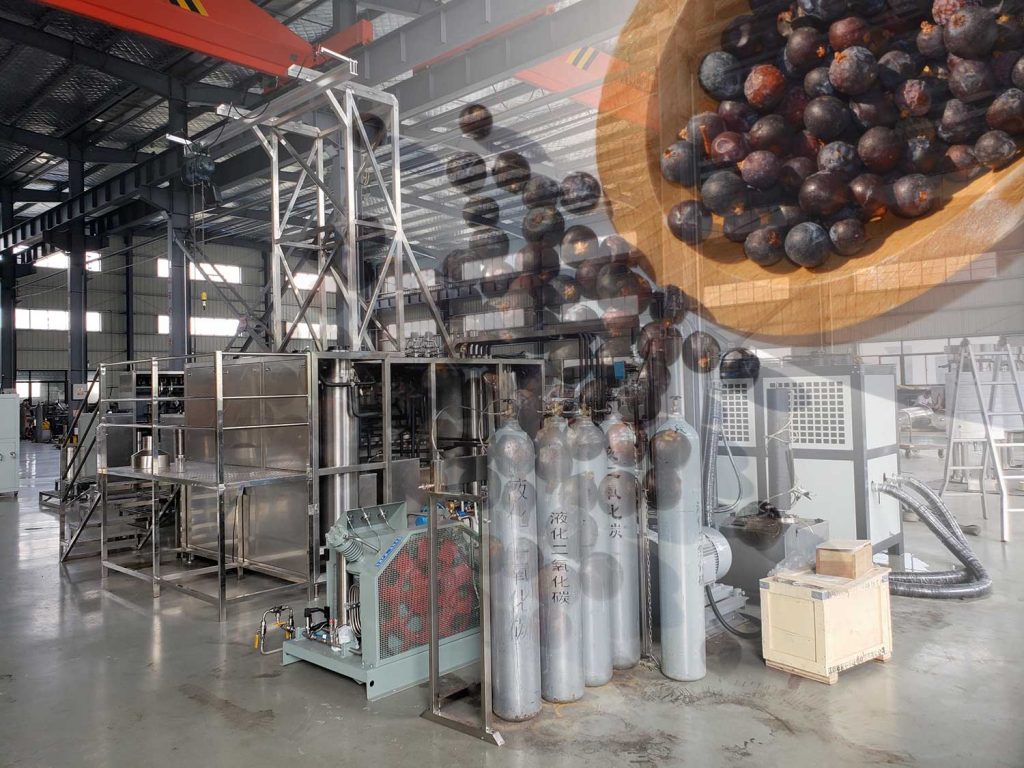 Supercritical CO2 Extraction Machine For Black Pepper Oil