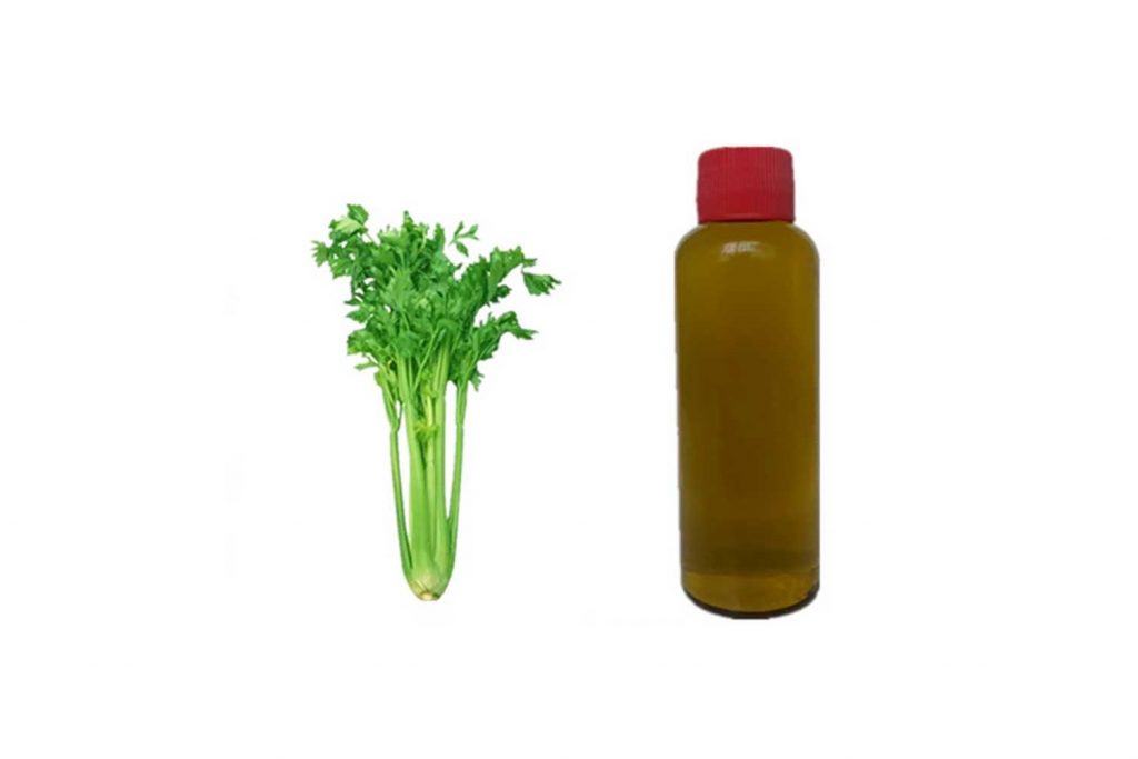 Celery Seed Oil