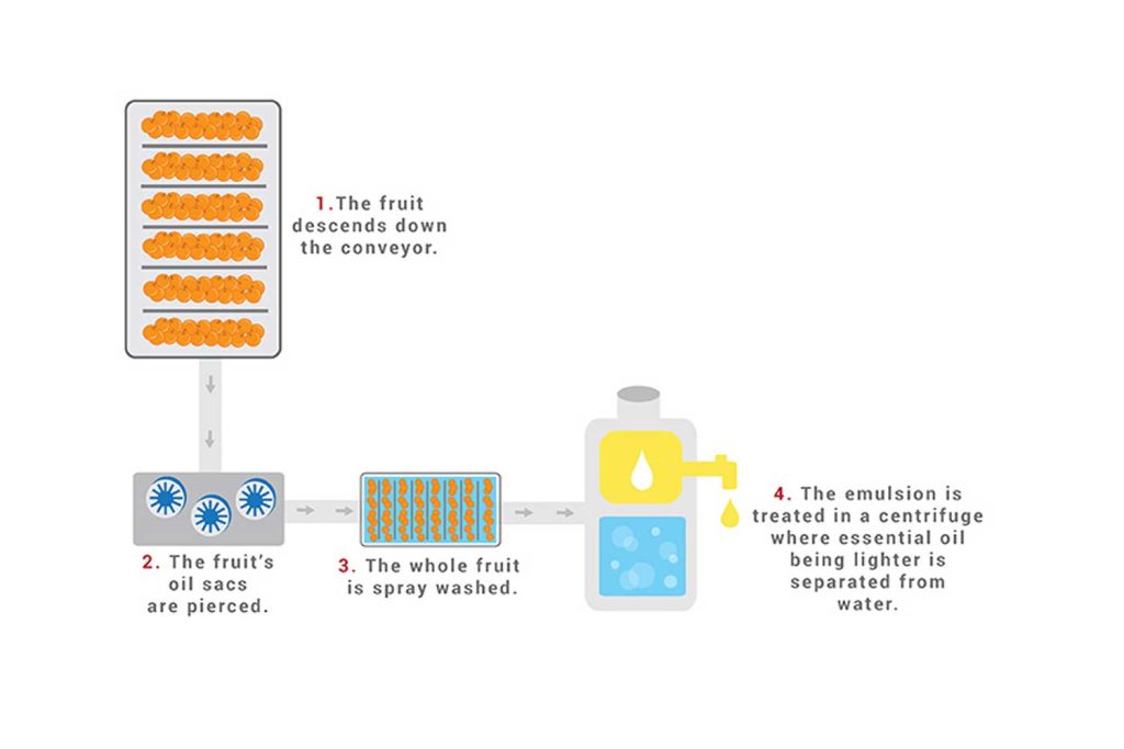 The process of cold-press extraction essential oil