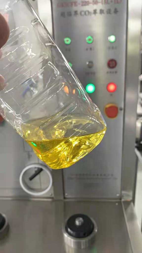 tea seed oil co2 extraction process