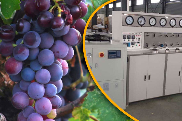 Supercritical Carbon Dioxide Extraction of Grape Seed Oil