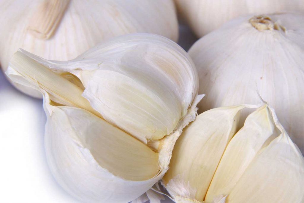 garlic