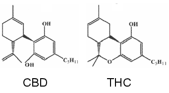 CBD chemical formula