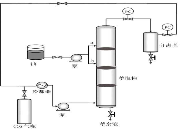 Camellia oil countercurrent supercritical CO2 deacidification and deodorization