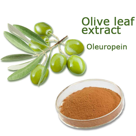 CO2 Extraction Of Oleuropein From Olea Europaea Leaves