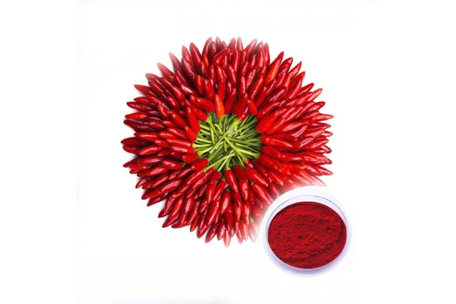 Supercritical CO2 fluid extraction of Chili red pigment and capsaicin