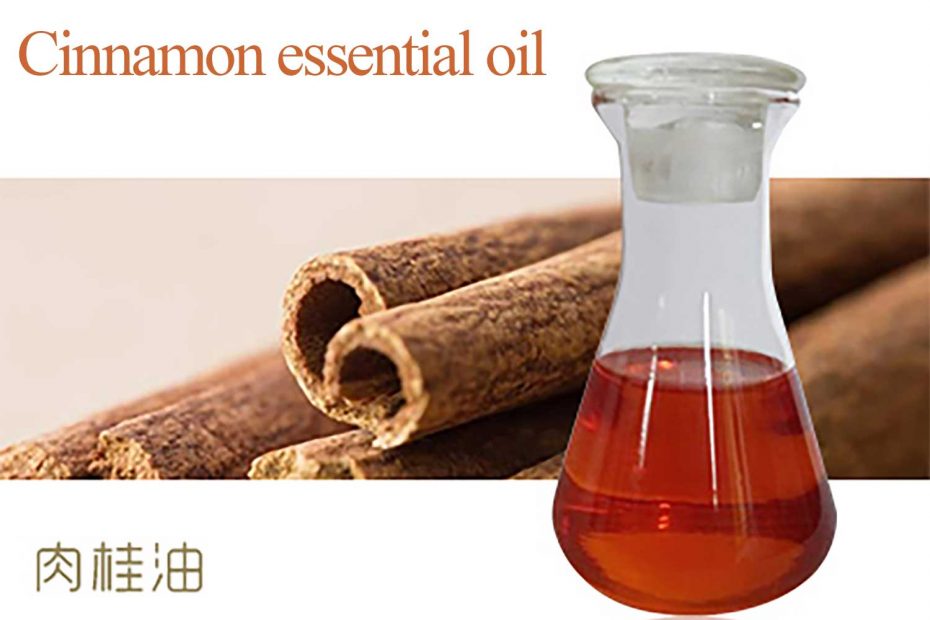 cinnamon essential oil of supercritical co2 extraction