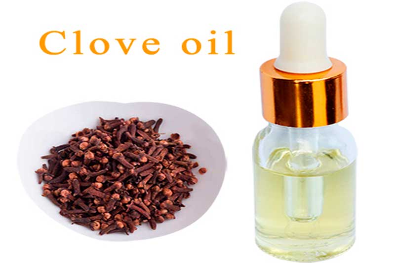 Clove oil extracted by supercritical CO2