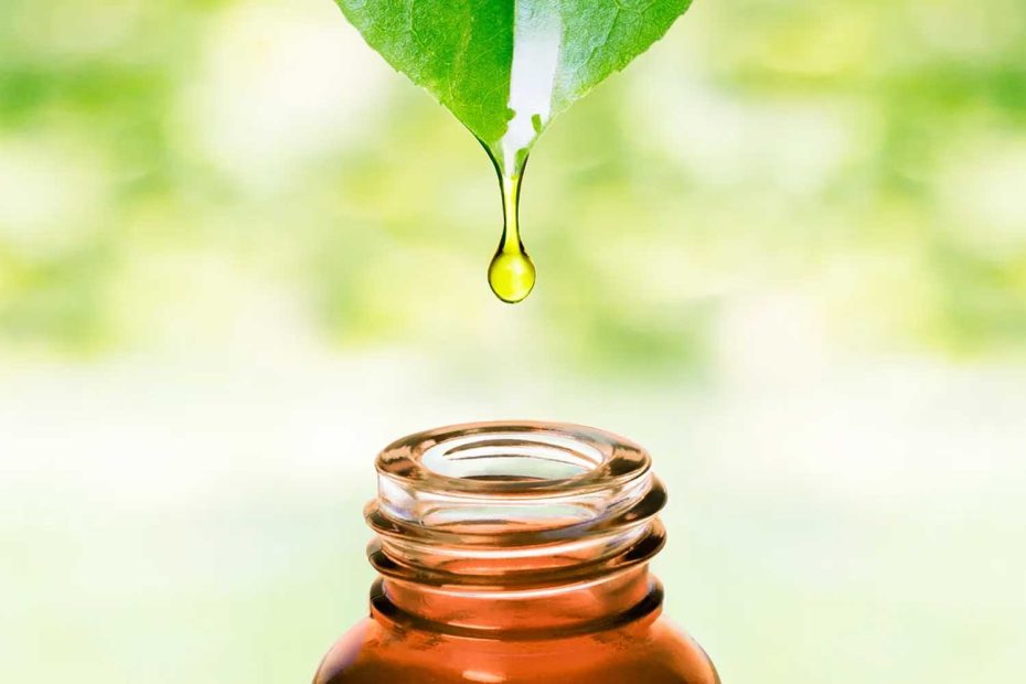 7 important essential oil extraction methods