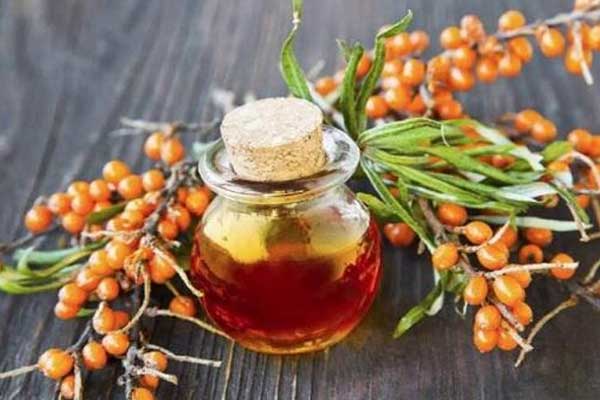 Sea Buckthorn CO2 Oil