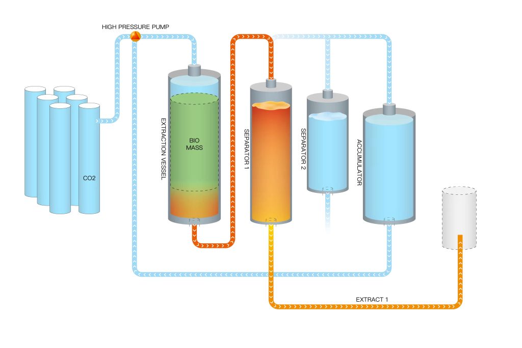 CBD Oil CO2 Extraction Process