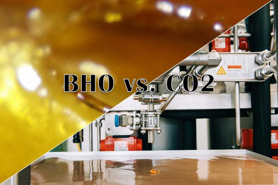 BHO vs. CO2 Extraction: Which is Better?