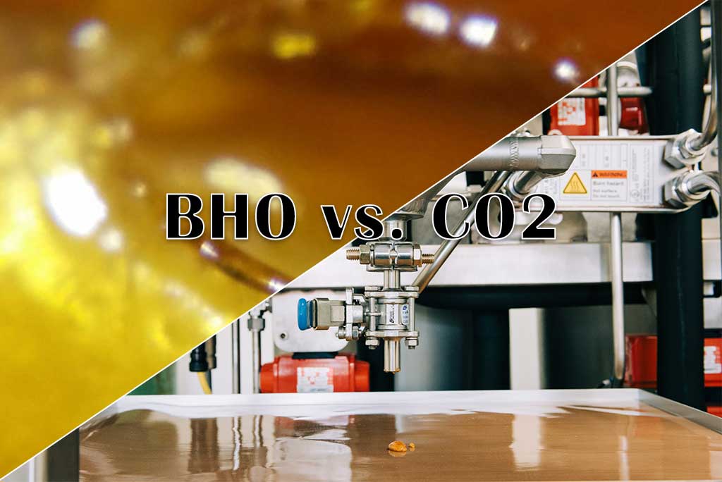 BHO vs. CO2 Extraction: Which is Better?